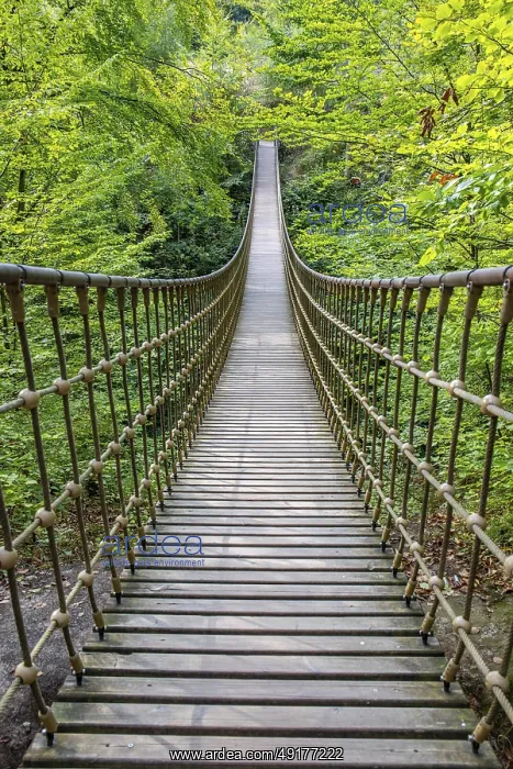 : Wooden suspension bridge over a gorge : Wooden suspension bridge over a gorge