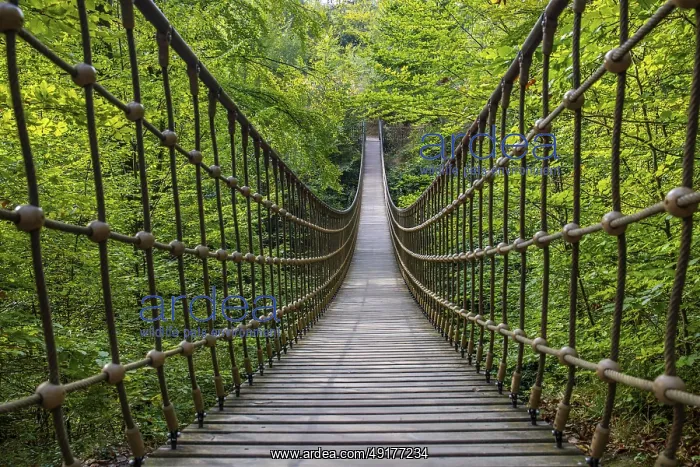 : Wooden suspension bridge over a gorge : Wooden suspension bridge over a gorge