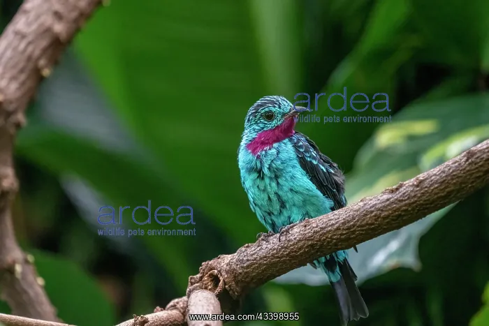 : Woodland Park Zoo, Seattle, Washington State, USA : Woodland Park Zoo, Seattle, Washington State, USA