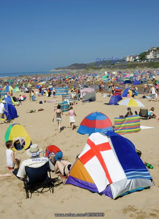 : Woolacombe, Devon, UK - Holidaymakers with tents : Woolacombe, Devon, UK - Holidaymakers with tents