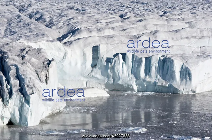 : Wordie Glacier, Godthab Golf, North East : Wordie Glacier, Godthab Golf, North East