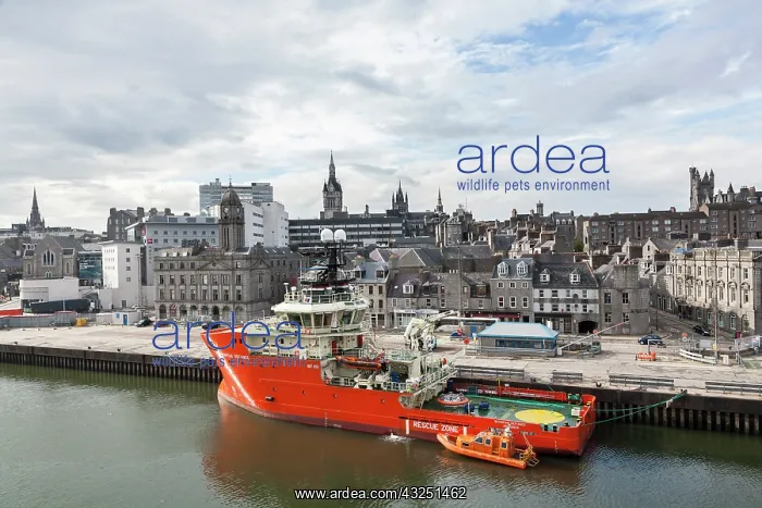 : Work ships in the commercial Aberdeen harbor : Work ships in the commercial Aberdeen harbor