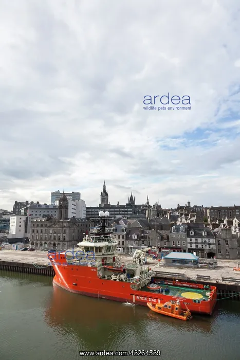 : Work ships in the commercial Aberdeen harbor : Work ships in the commercial Aberdeen harbor