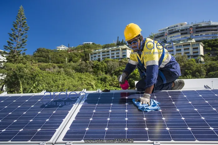 : Worker cleaning solar panels, New Caledonia : Worker cleaning solar panels, New Caledonia