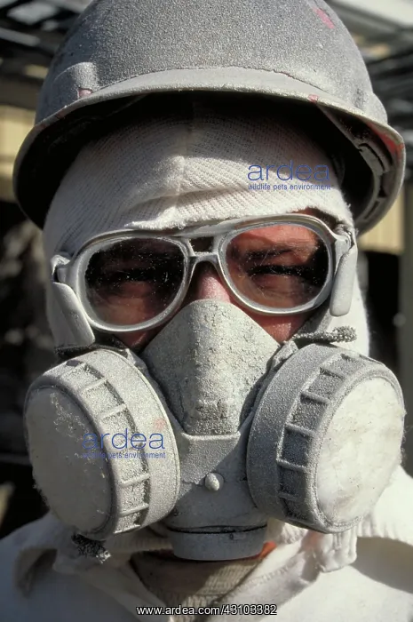 : Worker with safety mask : Worker with safety mask