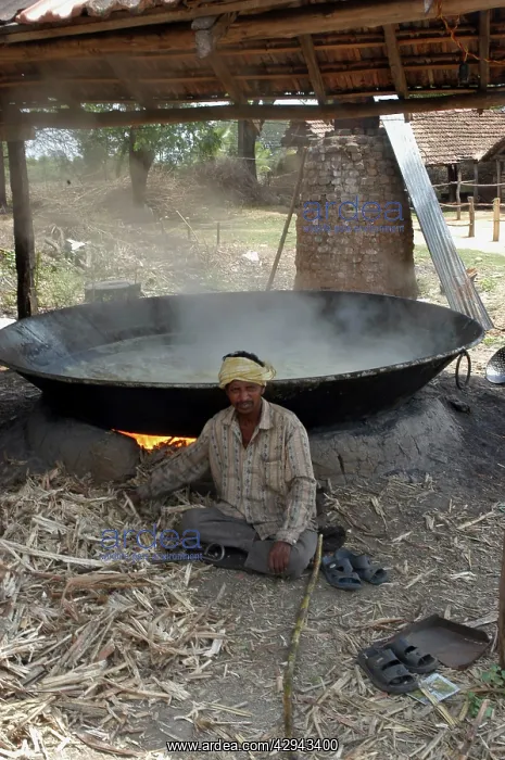 : Worker - Sugar factory, India : Worker - Sugar factory, India