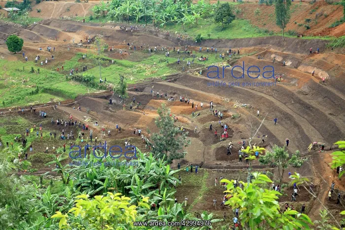 : Workers Rwandan community collectively working the : Workers Rwandan community collectively working the