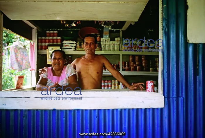 : Workers - Shop in village Pohnpei Island : Workers - Shop in village Pohnpei Island
