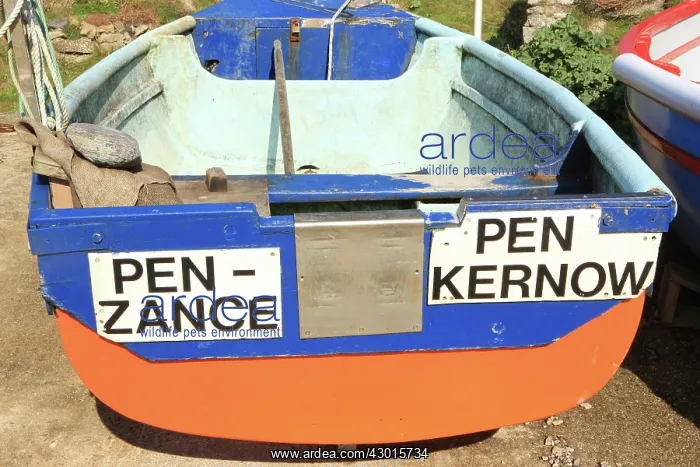 : Working Boat : Working Boat