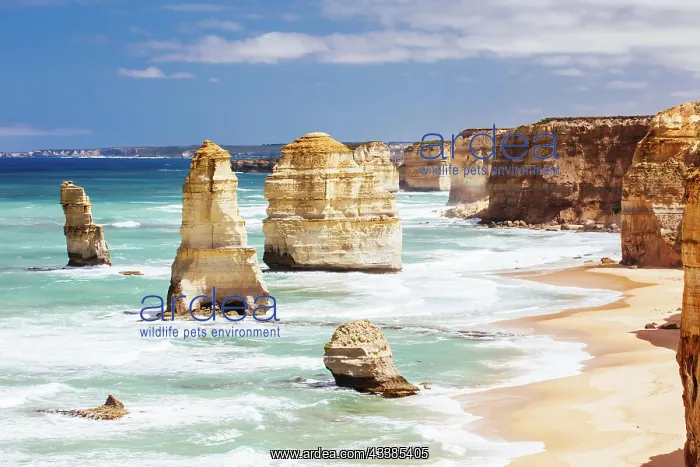 : The world famous 12 Apostles on a bright sunny day a : The world famous 12 Apostles on a bright sunny day a