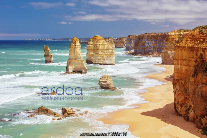 : The world famous 12 Apostles on a bright sunny day a : The world famous 12 Apostles on a bright sunny day a