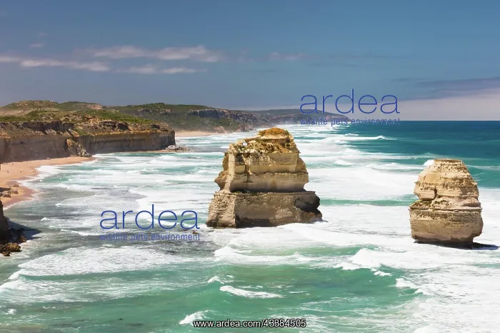 : The world famous 12 Apostles along the Great Ocean R : The world famous 12 Apostles along the Great Ocean R