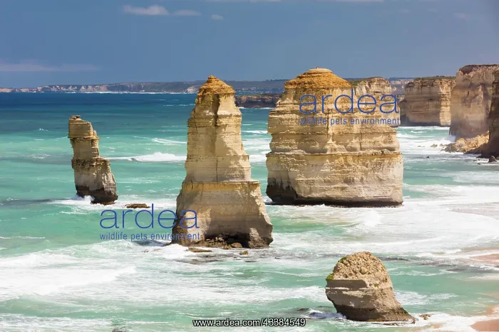 : The world famous 12 Apostles along the Great Ocean R : The world famous 12 Apostles along the Great Ocean R