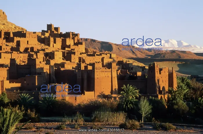 : The world-famous kasbahs (= fortress) at Ait Benhaddou : The world-famous kasbahs (= fortress) at Ait Benhaddou