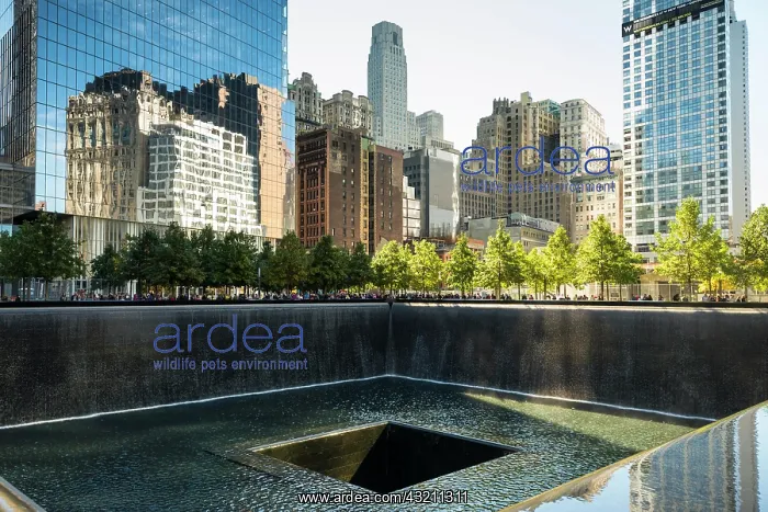 : World Trade Center Site, Ground Zero, Manhattan : World Trade Center Site, Ground Zero, Manhattan