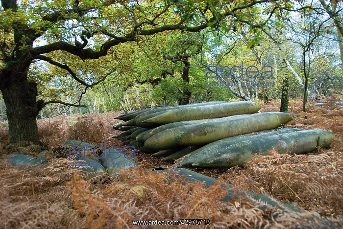  : World War II fuel tanks - abandoned
