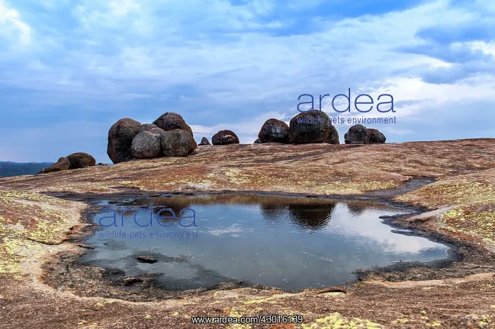 : World's View Eastern Highlands mountain range : World's View Eastern Highlands mountain range
