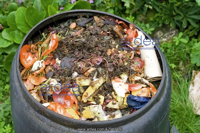 : Worms visible amongst variety of kitchen waste : Worms visible amongst variety of kitchen waste
