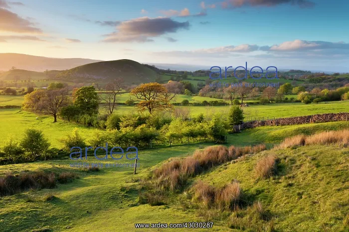  : Worston Moor - Evening - Lancashire - UK