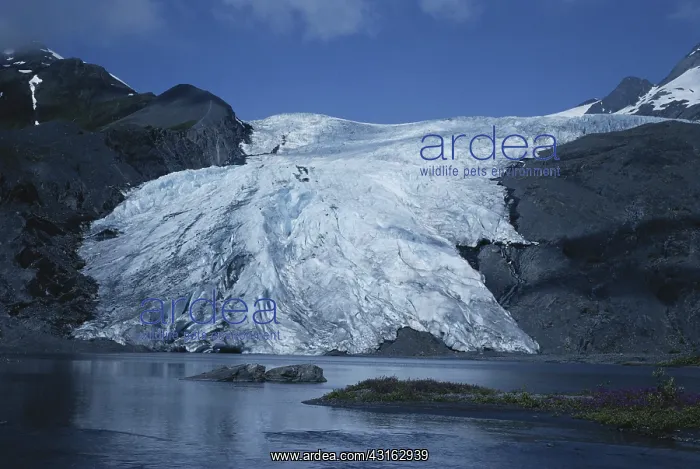 : Worthington Glacier : Worthington Glacier
