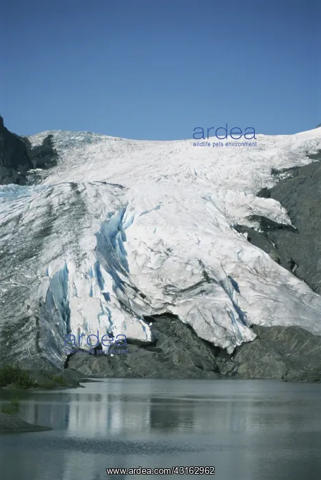 : Worthington Glacier : Worthington Glacier