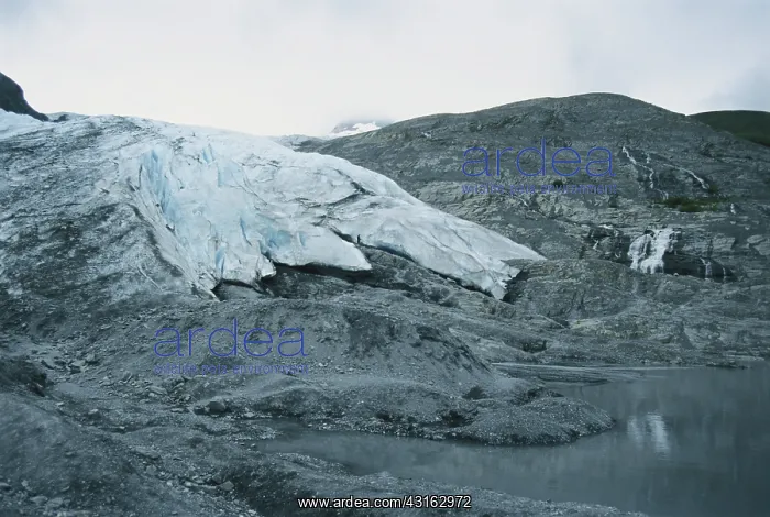 : Worthington Glacier : Worthington Glacier