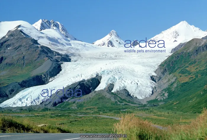 : WORTHINGTON GLACIER - Valdez Highway : WORTHINGTON GLACIER - Valdez Highway