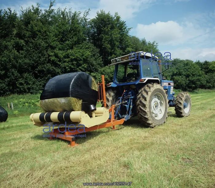 : Wrapping silage bale in plastic : Wrapping silage bale in plastic
