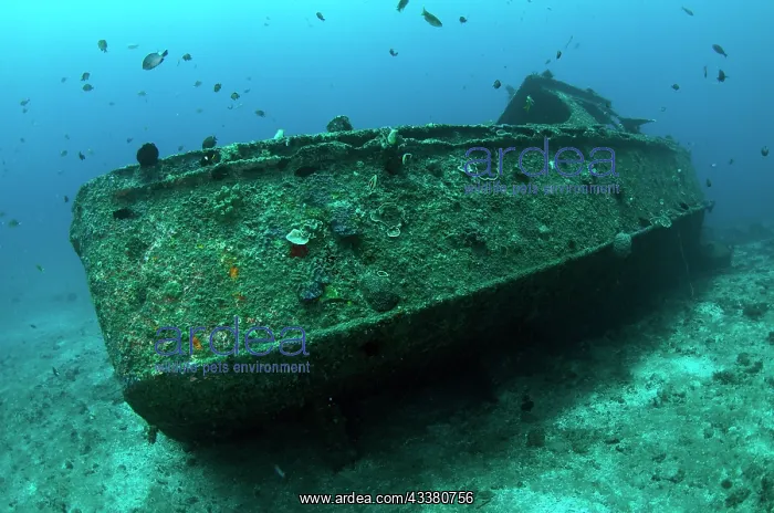 : Side of wreck : Side of wreck