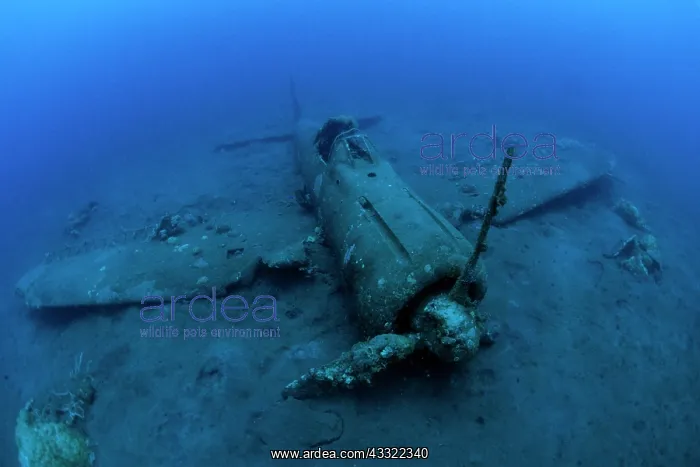 : Wreck of airplane Zero A6M2b-Model 21, ni8224, Gabuna Sulphu : Wreck of airplane Zero A6M2b-Model 21, ni8224, Gabuna Sulphu