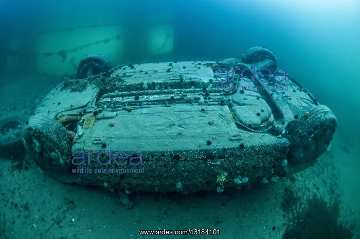 : Wrecked car in Thau pond, Balaruc, H&, x9ca1;ult : Wrecked car in Thau pond, Balaruc, H&, x9ca1;ult
