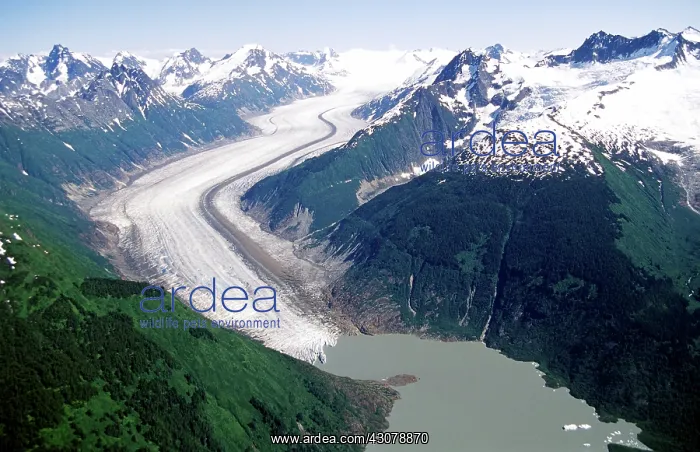 : Wright Glacier, near Juneau, Alaska : Wright Glacier, near Juneau, Alaska
