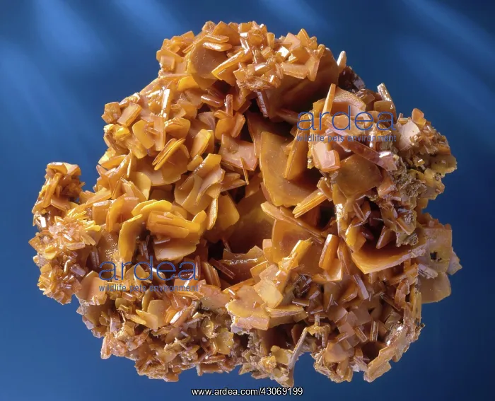 : Wulfenite, a minor ore of lead : Wulfenite, a minor ore of lead