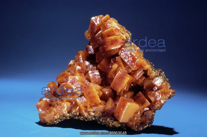 : Wulfenite from Chihuahua, Mexico : Wulfenite from Chihuahua, Mexico