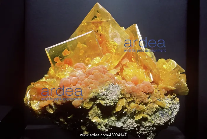 : Wulfenite with Mimetite : Wulfenite with Mimetite
