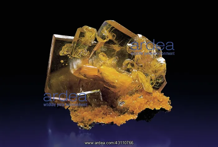 : Wulfenite with Mimetite : Wulfenite with Mimetite