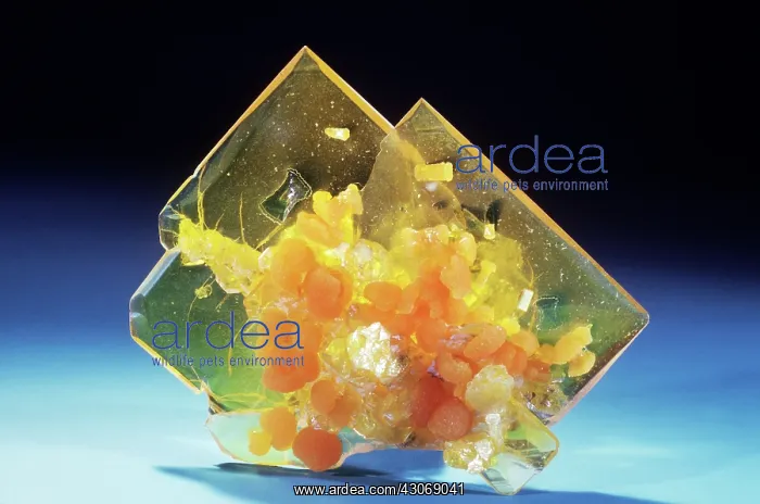 : Wulfenite from Theba, Arizona : Wulfenite from Theba, Arizona
