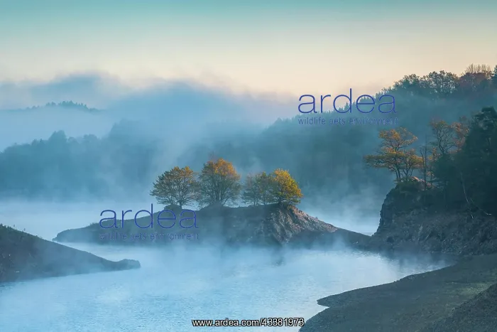 : The Wuppertalsperre at sunrise with morning fog : The Wuppertalsperre at sunrise with morning fog