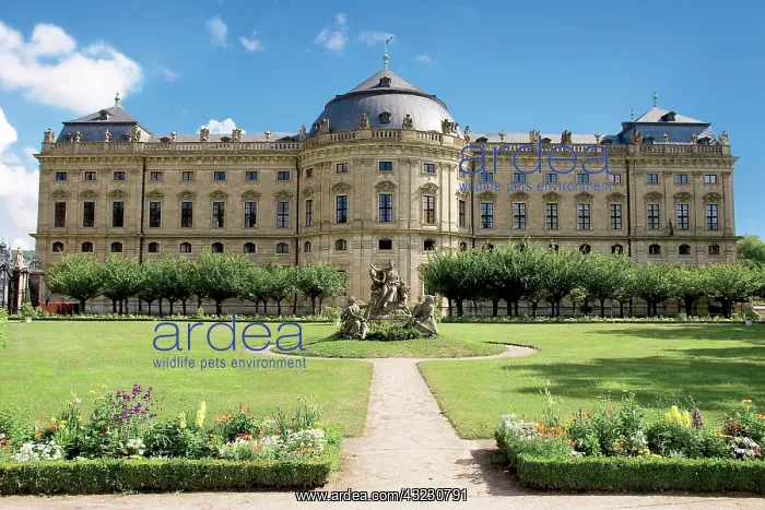 : Wurzburg, Germany, Wurzburg Residenz, Wurzburg : Wurzburg, Germany, Wurzburg Residenz, Wurzburg