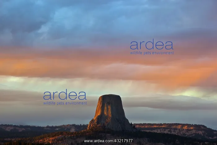 : WY, Devils Tower National Monument, Storm : WY, Devils Tower National Monument, Storm