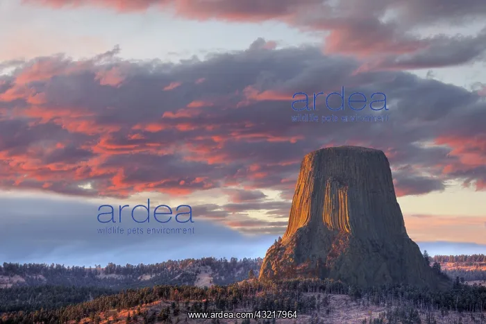 : WY, Devils Tower National Monument, Sunset : WY, Devils Tower National Monument, Sunset
