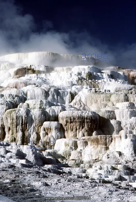 : Wyoming, USA - mammoth hot & minervia springs : Wyoming, USA - mammoth hot & minervia springs