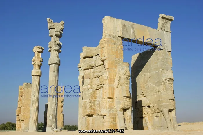  : Xerxes Gateway (Gate of All Nations), the main