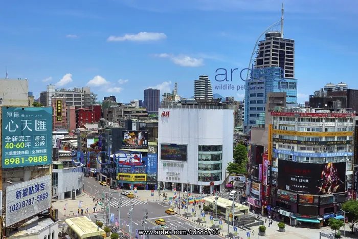 : Ximen MRT Station, Ximending, Taipei, Taiwan : Ximen MRT Station, Ximending, Taipei, Taiwan