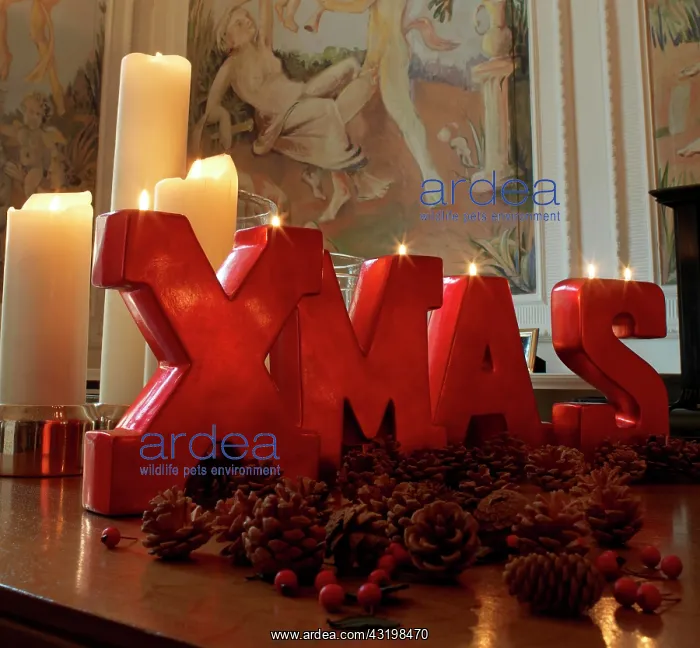 : XMAS Christmas candle arrangement in a stylish ambience : XMAS Christmas candle arrangement in a stylish ambience
