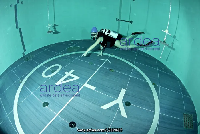 : Y-40, the world's deepest pool, measuring 21 X 18m : Y-40, the world's deepest pool, measuring 21 X 18m