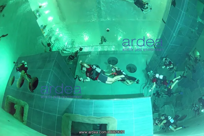 : Y-40, the world's deepest pool, measuring 21 X 18m : Y-40, the world's deepest pool, measuring 21 X 18m