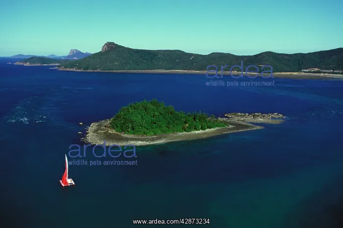: Yacht sailing past Plum Pudding Island : Yacht sailing past Plum Pudding Island