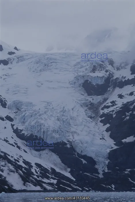 : Yale Glacier, Alaska : Yale Glacier, Alaska