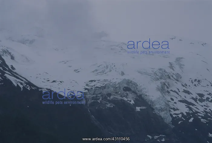 : Yale Glacier, Alaska : Yale Glacier, Alaska